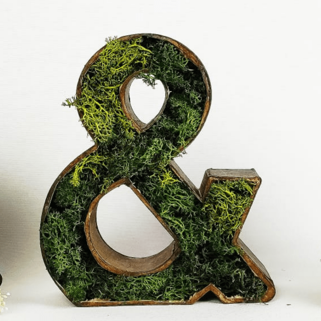 Letra Ampersand musgo liofilizado decoración personalizada Alicante