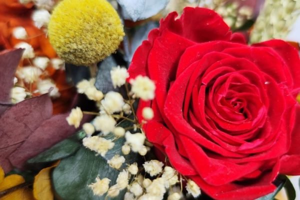 Centro Atira Flor preservada Ramos de rosas rojas