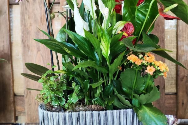 IMG_20230501_105132 IMG_20230501_105132