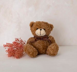 Peluche Harry adorable complemento para ramo flores Alicante