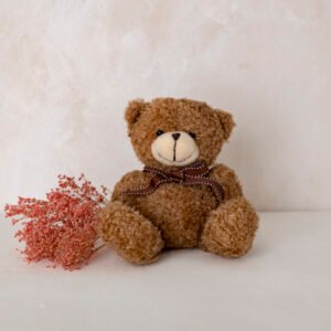 Osito de Peluche Marrón (Pequeño)