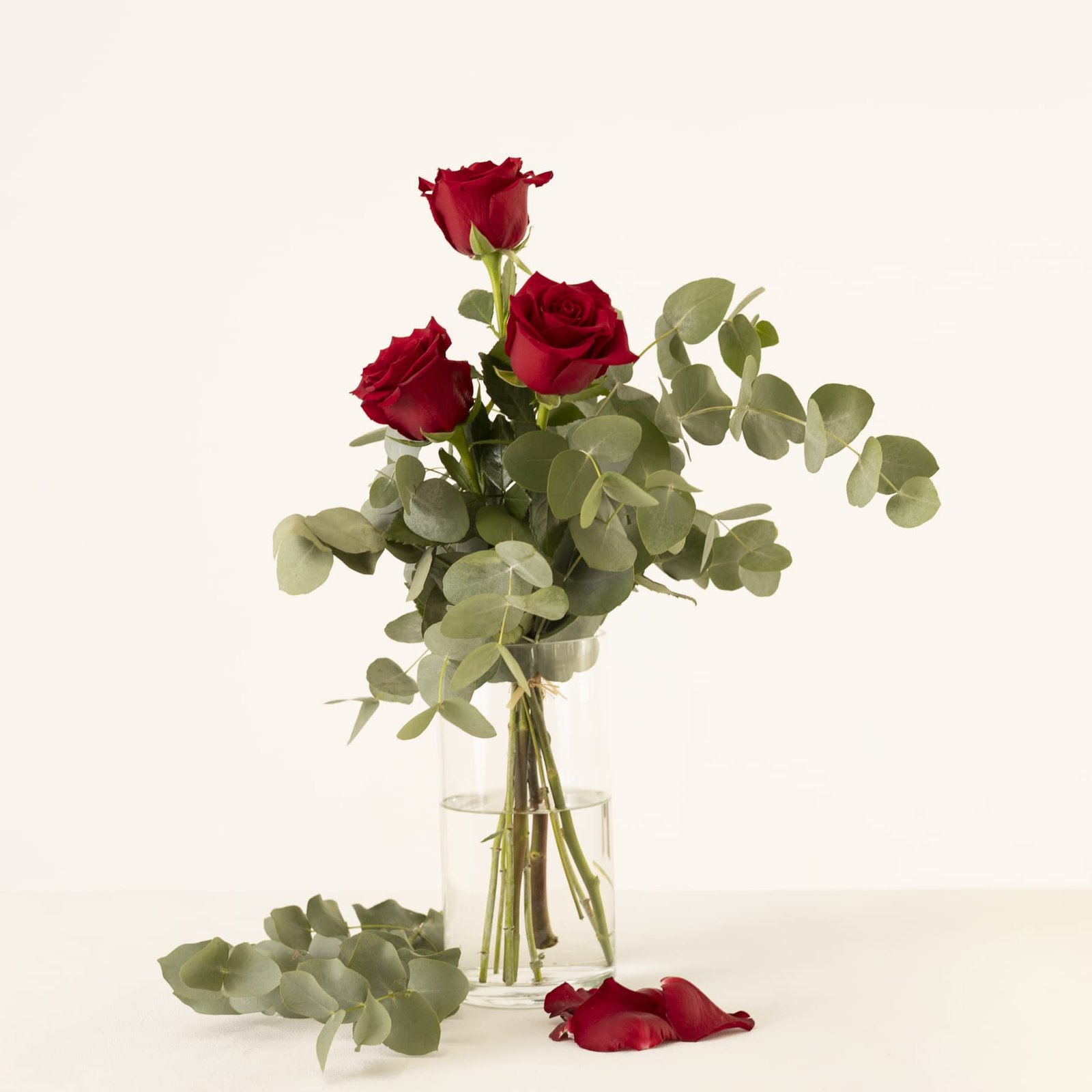 Tercia: 3 Rosas Rojas Extra de 70 cm. con Eucalipto.