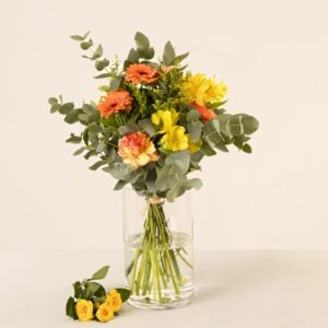 Ramo Sol de Alicante: